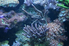 Killikus&reg; Fotographie